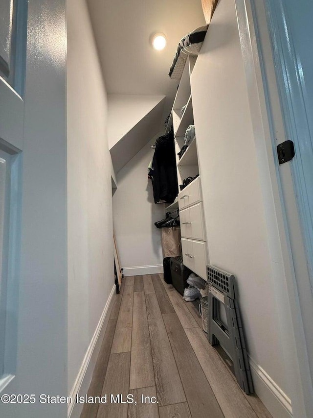 walk in closet featuring wood finished floors