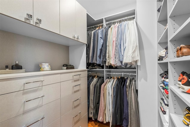 3 Briar Close Rd, Larchmont, NY 10538 - view of spacious closet