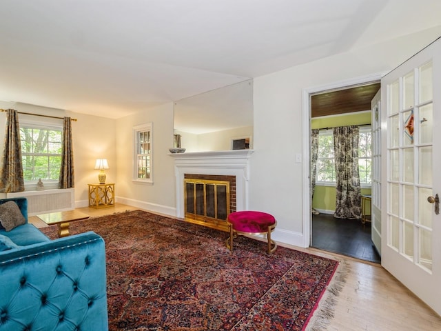 98 Jackson St, Fishkill, NY 12524 - living room with radiator, healthy amount of natural light, a brick fireplace, and wood finished floors