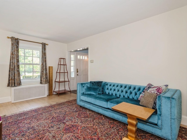 98 Jackson St, Fishkill, NY 12524 - living area featuring radiator and wood finished floors