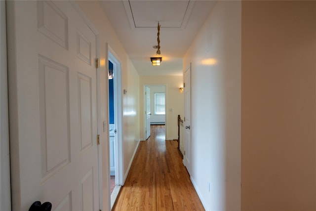 21 Pine Cone St, Middle Island, NY 11953 - hall featuring attic access, light wood-style floors, and baseboards