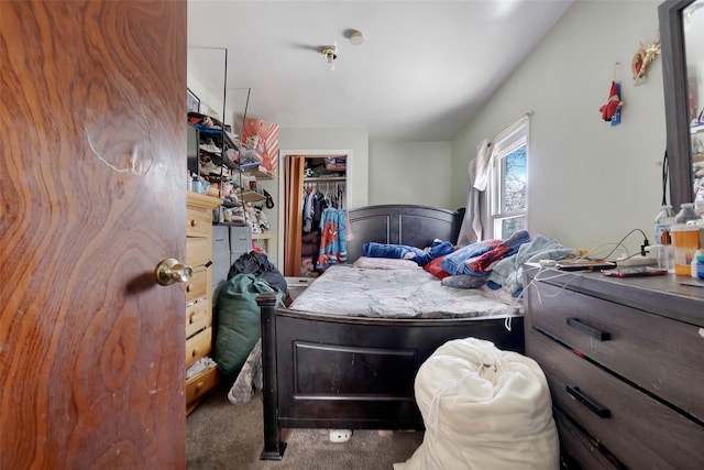 101 Baldwin Rd, Hempstead, NY 11550 - carpeted bedroom with a walk in closet and a closet