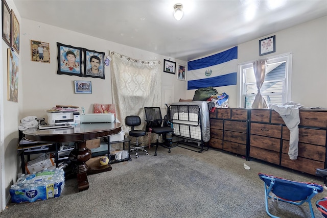 101 Baldwin Rd, Hempstead, NY 11550 - view of carpeted bedroom