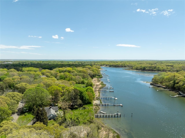 1015 Knollwood Ln, Mattituck, NY 11952 - aerial view of a large body of water and a forest