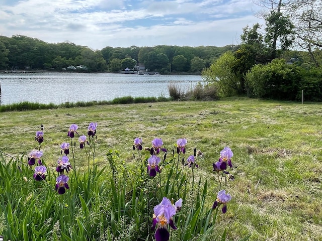 1015 Knollwood Ln, Mattituck, NY 11952 - view of yard with a water view and a wooded view