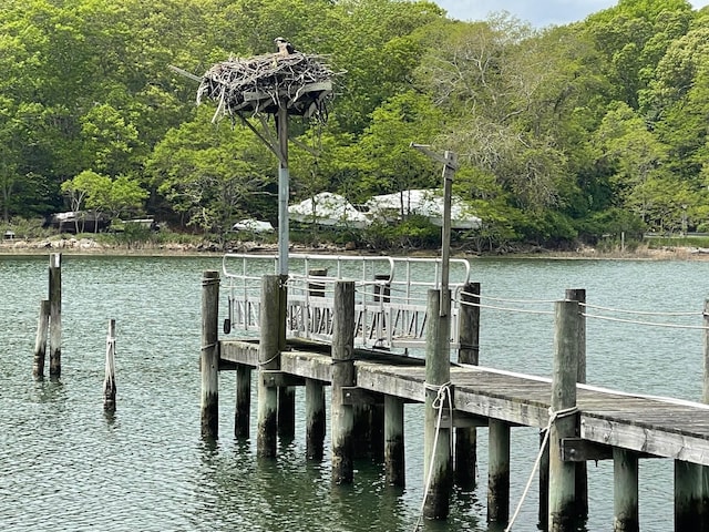 1015 Knollwood Ln, Mattituck, NY 11952 - dock area with a water view and a wooded view