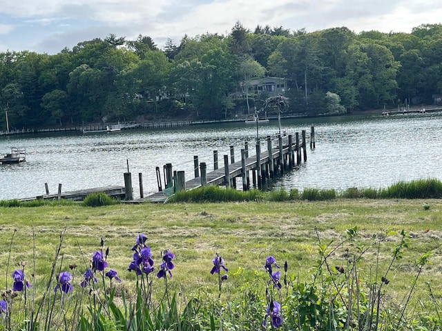 1015 Knollwood Ln, Mattituck, NY 11952 - dock area featuring a water view and a forest view
