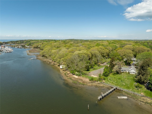 1015 Knollwood Ln, Mattituck, NY 11952 - aerial overview of property's location featuring a heavily wooded area and a large body of water