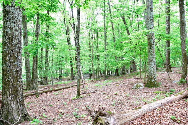  - photo 9