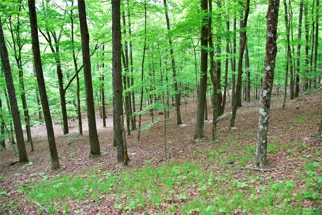 - photo 12