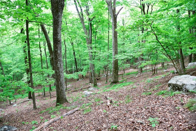  - photo 13