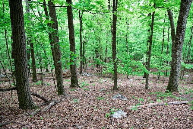  - photo 14