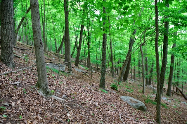  - photo 15