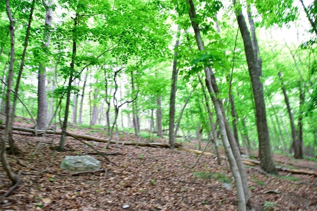  - photo 16
