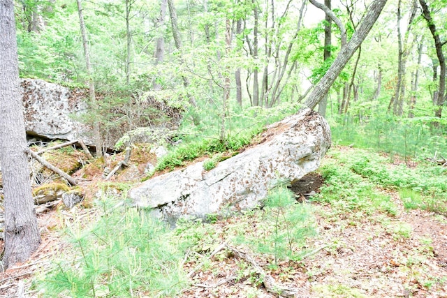  - photo 18
