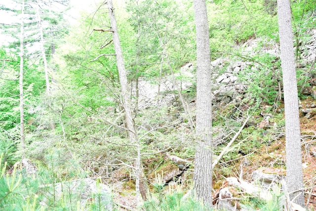  - photo 19