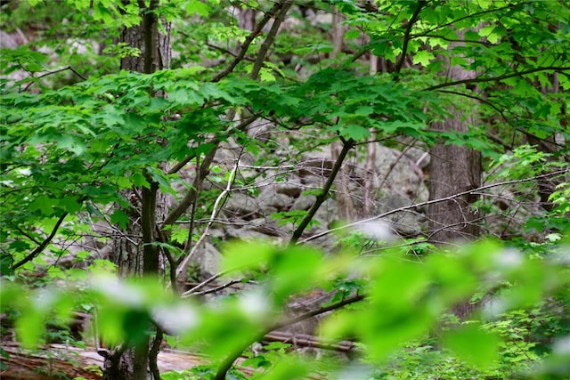  - photo 21