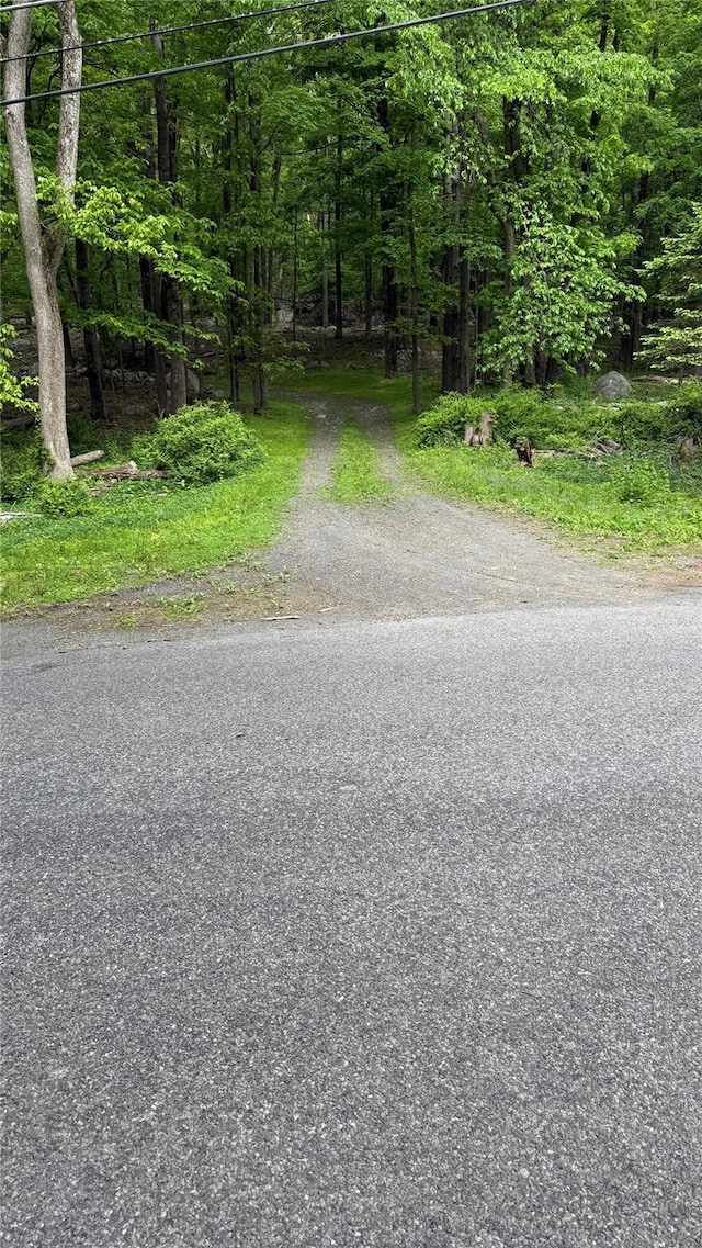  - photo 22