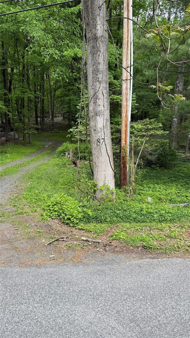  - photo 23