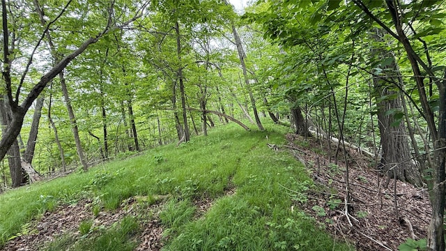  - photo 26