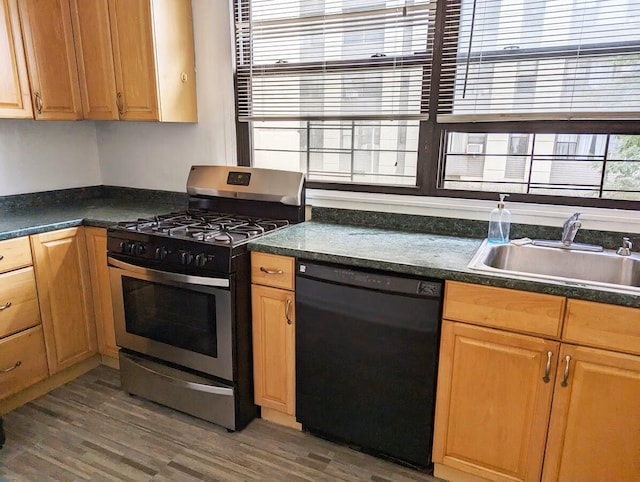 kitchen with black dishwasher, stainless steel gas stove, a sink, wood finished floors, and dark countertops