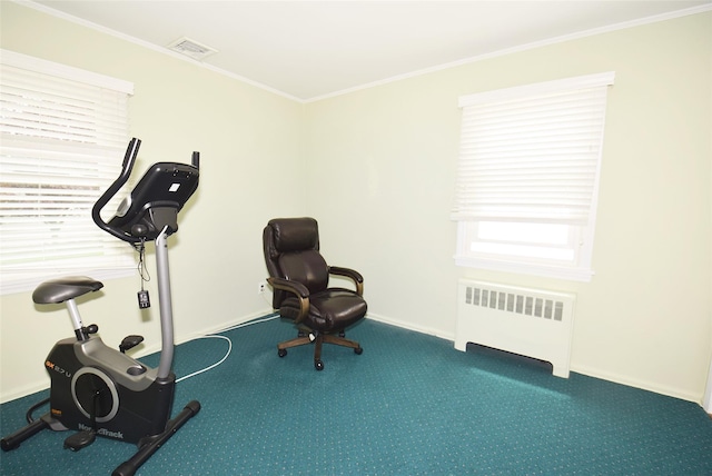 11 Cinque Dr, Farmingdale, NY 11735 - workout room with radiator, carpet, ornamental molding, and baseboards