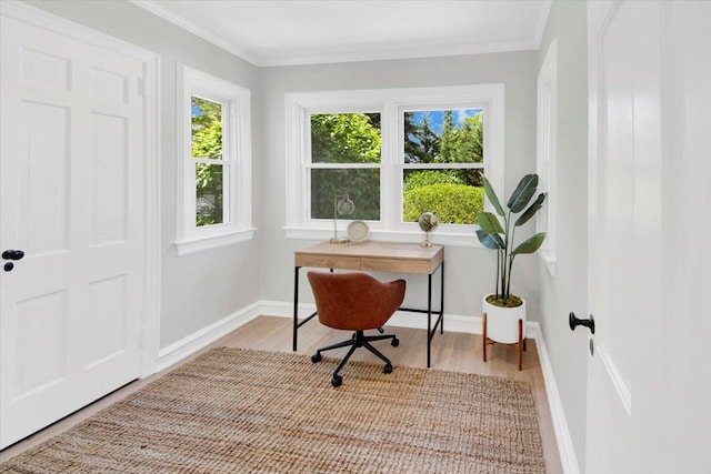 6 Mcbride Ave, White Plains, NY 10603 - home office with wood finished floors, baseboards, and crown molding