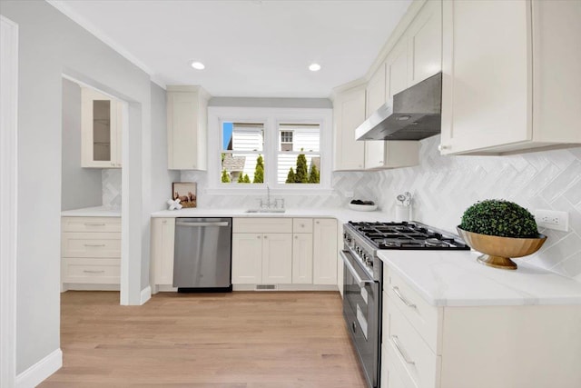 6 Mcbride Ave, White Plains, NY 10603 - kitchen featuring stainless steel appliances, under cabinet range hood, a sink, backsplash, and light wood-style floors