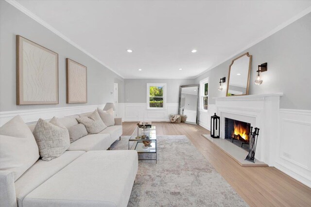 6 Mcbride Ave, White Plains, NY 10603 - living room featuring crown molding, wood finished floors, a warm lit fireplace, a decorative wall, and a wainscoted wall