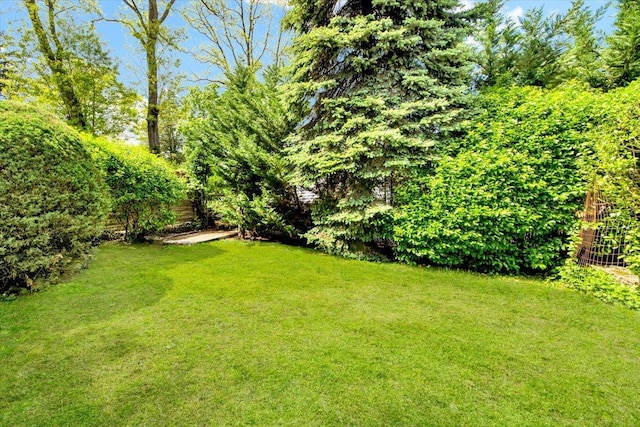 6 Mcbride Ave, White Plains, NY 10603 - view of green lawn