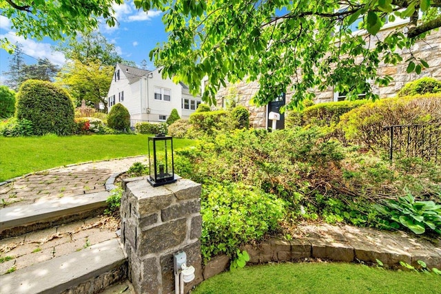 6 Mcbride Ave, White Plains, NY 10603 - view of yard