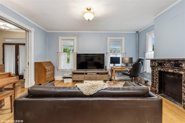 24 John St, Beacon, NY 12508 - living room featuring ornamental molding, wood finished floors, and a high end fireplace