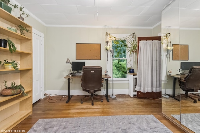 24 John St, Beacon, NY 12508 - home office with crown molding, wood finished floors, and baseboards