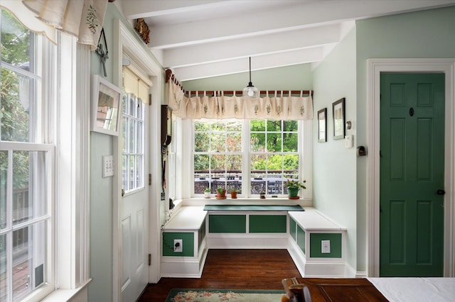 41 Granite Springs Rd, Granite Springs, NY 10527 - mudroom featuring dark wood-style floors