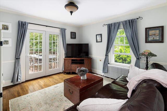 41 Granite Springs Rd, Granite Springs, NY 10527 - living area with crown molding, radiator heating unit, wood finished floors, and baseboards