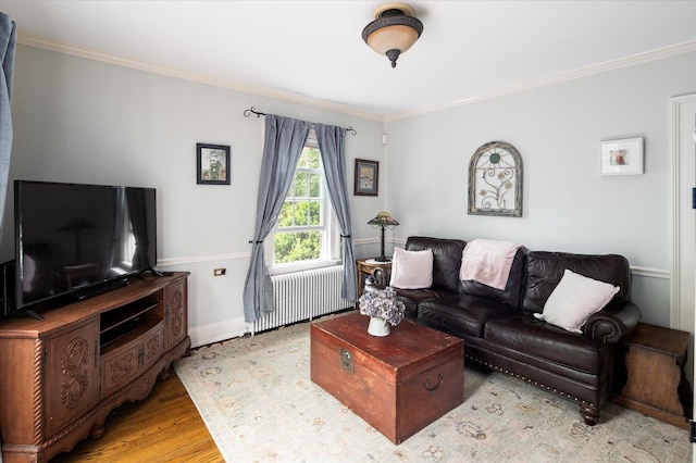 41 Granite Springs Rd, Granite Springs, NY 10527 - living area featuring radiator, ornamental molding, light wood-style flooring, and baseboards