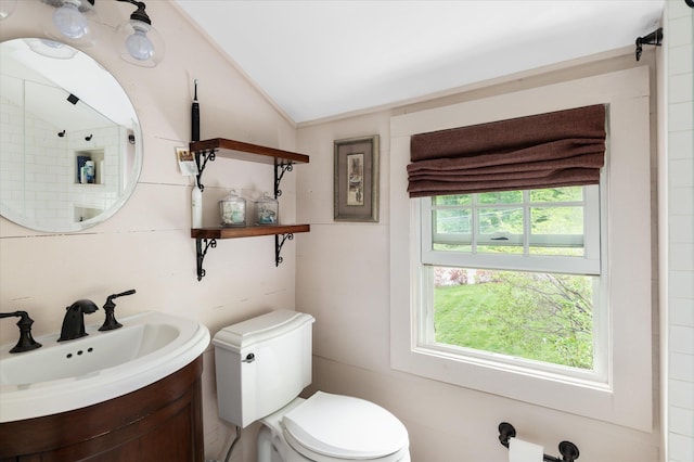 41 Granite Springs Rd, Granite Springs, NY 10527 - bathroom featuring lofted ceiling, toilet, and vanity