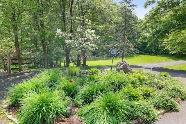 27 W Ln, Pound Ridge, NY 10576 - photo 4
