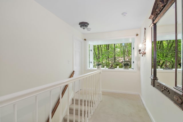 27 W Ln, Pound Ridge, NY 10576 - photo 23