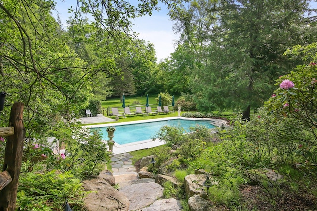 27 W Ln, Pound Ridge, NY 10576 - photo 39