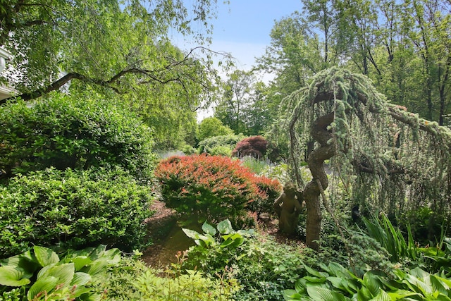 27 W Ln, Pound Ridge, NY 10576 - photo 41