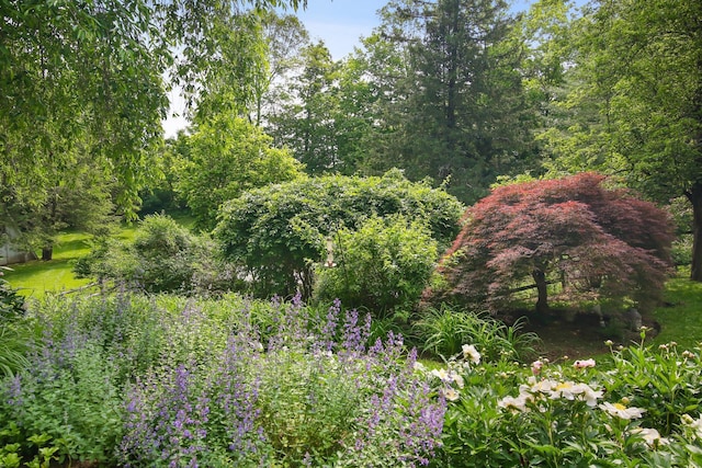 27 W Ln, Pound Ridge, NY 10576 - photo 46