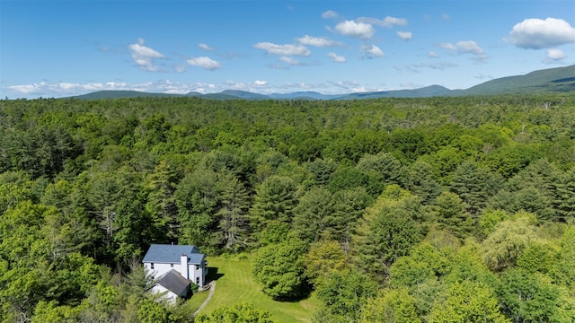 1531 Glasco Tpke, Saugerties, NY 12498 - bird's eye view of a heavily wooded area and mountains