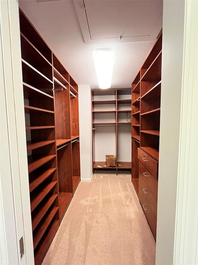 walk in closet featuring light carpet