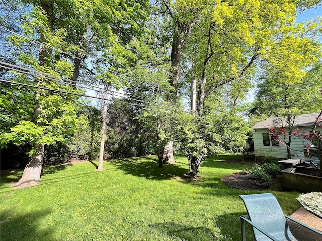 view of grassy yard