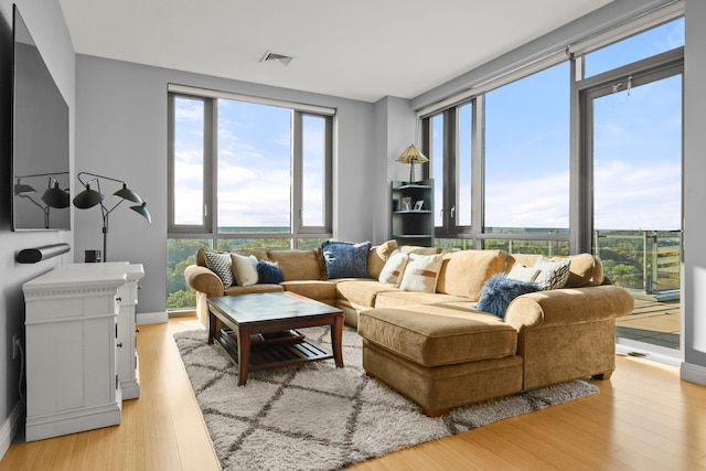 living room featuring light wood finished floors and healthy amount of natural light
