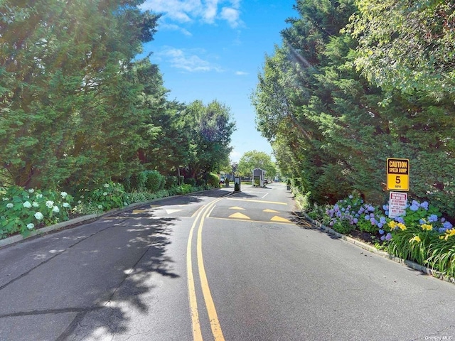 view of asphalt road with curbs