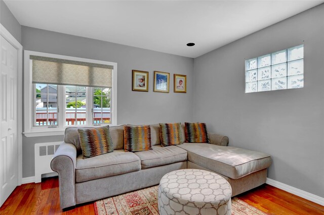 living room with radiator heating unit, plenty of natural light, and wood finished floors