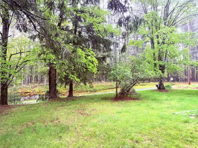 38 Eldred Yulan Rd, Eldred, NY 12732 - view of grassy yard