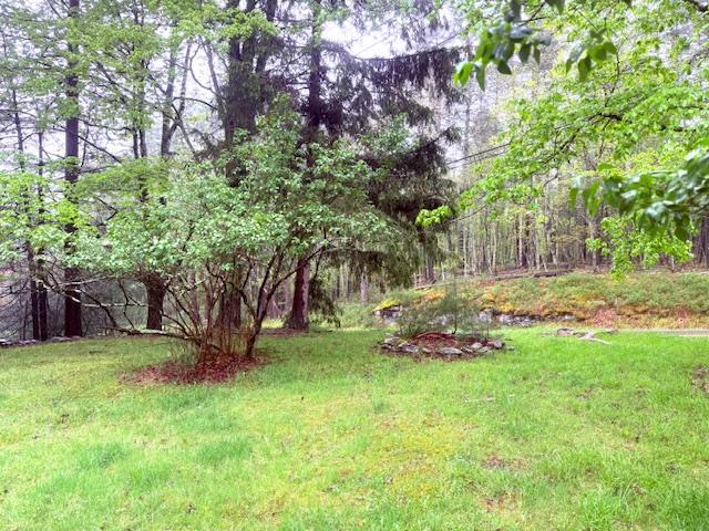 38 Eldred Yulan Rd, Eldred, NY 12732 - view of green lawn